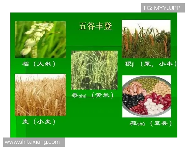 五谷丰登与可持续农业：探索五谷农作物的多功能与生态价值